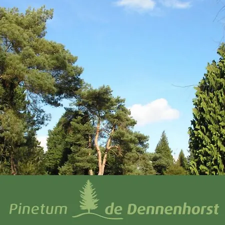 De Lunterse Boer