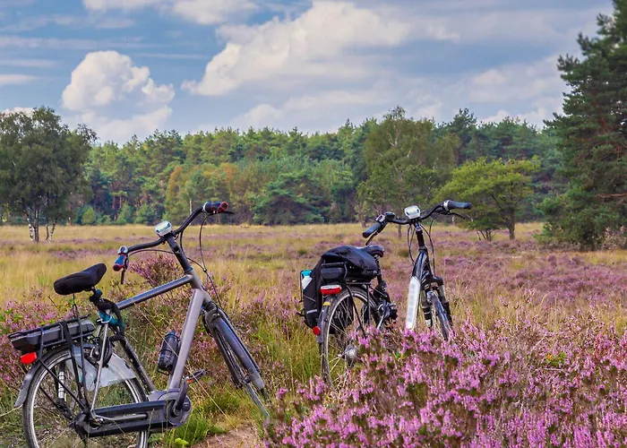 De Lunterse Boer Отель